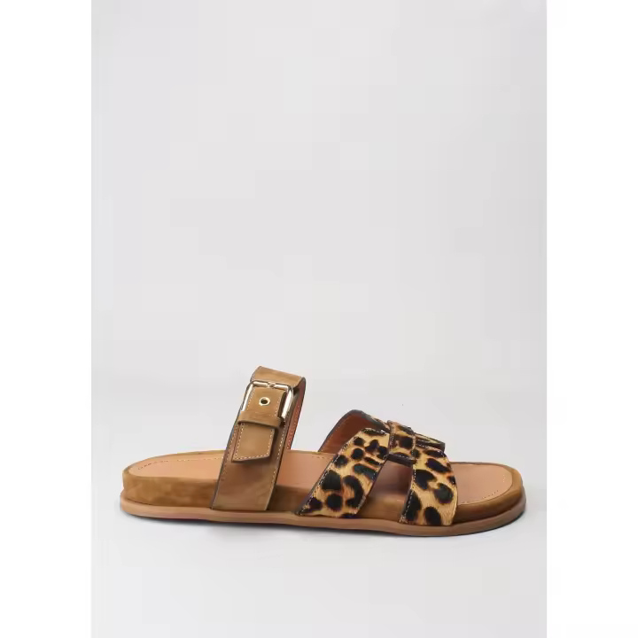 bio pelo leopardo ante camel NICHI SEIJO - 1
