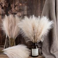 5/10Pcs Bouquet De Pampas Artificiales Flores De Reed Para Decoración De Hogar Jardín Boda Y Fiestas Internas Y Externas - details 1