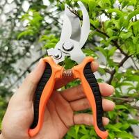 1Pcs Tijeras De Poda Profesional Con Corte Por Pasada Para Jardín Y Árboles Afiladas Tijeras De Mano Secateur Herramienta De Poda Metálica - details 8