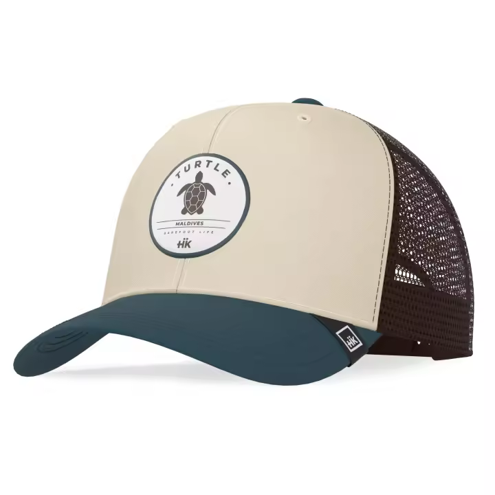 Turtle Truck Beige / Blue - 1