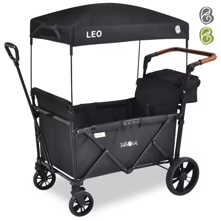 Carro de Mano LEO X2 Lite con Techo Plegable Onyx Negro - Seguridad Garantizada - 1