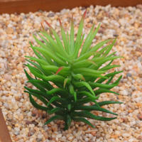 12 Piezas De Mini Plantas De Suculentas Artificiales Para Decoración No Envasadas Colores Aleatorios Para Jardín Al Aire Libre Y Fiestas - details 2