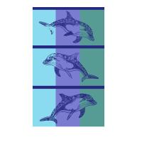Toalla de playa toalla de piscina grande de 100% algodón diseño variado para hombre y mujer medias de 90 x 170 cm - details 0