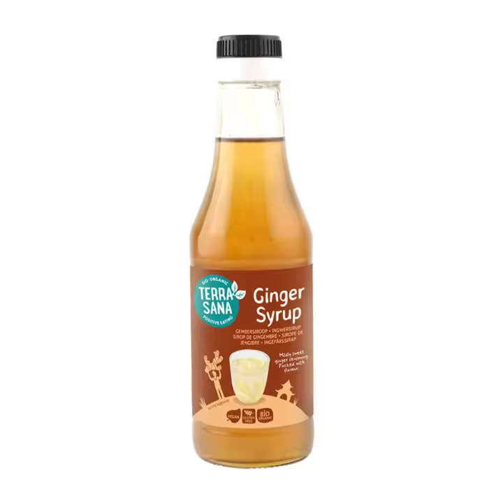Sirope de Jengibre 250ml, Toque Oriental para Platos y Bebidas – Terrasana - 1