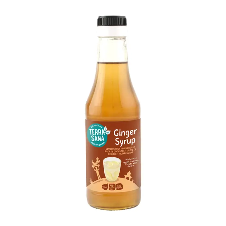 Sirope de Jengibre 250ml, Toque Oriental para Platos y Bebidas – Terrasana - 1