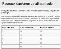 Leonardo Adult Lamb pienso de cordero para gatos adultos - details 0