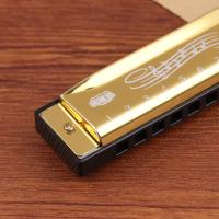 Harmonica De Metal Para Principiantes Y Niños Regalo Con Estuche Diatónica De 10 Agujeros En Do Clave C - details 5