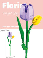 Bloques De Construcción De Partículas Micro Decoración De Flores Eternas Modelos Educativos Para Niños Juguetes Para Kinder - details 11