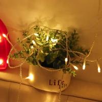 Luz De Cadena LED 10M Para Navidad Impermeable 100 LEDs Decoración De Árbol Y Fiesta Navideña Luz Faeira Para Interior Y Exterior - details 5