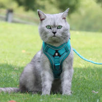 Juego De Correa Y Enjambre Para Gato Prueba De Fuga Ajustable Y Respirable Para Pequeños Y Medianos Perros Y Gatos Con Cuerda De Pecho Para Gatos Chicos - details 1