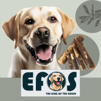 Mordedor Natural de Madera de Olivo para Perro  Bañado en Aceite de Oliva  Juguetes para Perros  Elimina Sarro  Palo Antiestrés Perro  Calidad Ambiental Certificada  Palo de Madera de Olivo  Marca EFOS - details 0