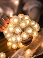 Luces De Hada LED Dandelion Para Jardín Y Terraza Decoración De Navidad Y Fiestas Especial Iluminación Interior De La Casa Batería AAA Incluida - details 0