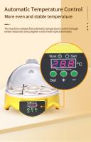 Incubador De Huevos Pequeño Para El Hogar Capacidad De 7 Huevos Automático Control De Temperatura Inteligente Para Pollos Pato Tortuga Y Pájaros - details 2