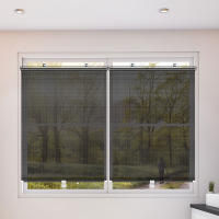 Cortinas De Rollos Universales Sin Tornillos Con Ventosas Para Ventanas Cortina De Sol Para Dormitorio Oficina Baño - details 1