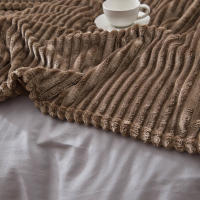 Manta Gris Plush Fluffy Flannel Fleece Suave Para Sofá Y Cama Manta De Terciopelo Poliéster Antipelusa Portátil Para Todas Las Estaciones - details 6