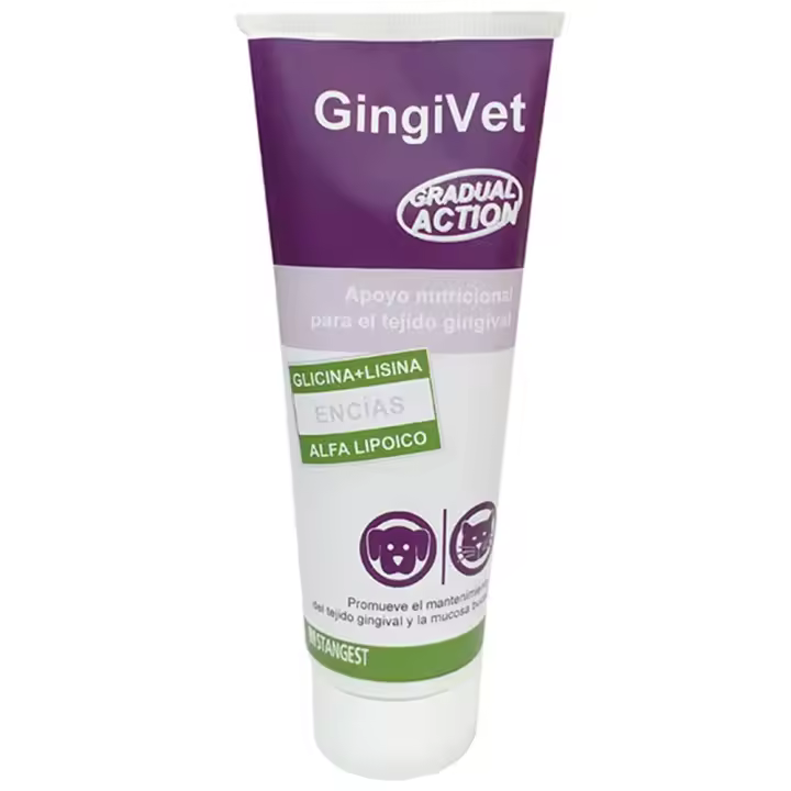 GingiVet Pasta 100 g suplemento para fortalecer la estructura de las encías y la boca de perros y gatos Stangest - 1