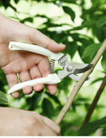 Tijeras De Podar Para Jardín Profesionales Herramientas Manuales Para Orquidear Bonsái Corte De Jardinería Tijeras De Podar - details 11