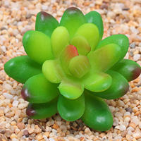 12 Piezas De Mini Plantas De Suculentas Artificiales Para Decoración No Envasadas Colores Aleatorios Para Jardín Al Aire Libre Y Fiestas - details 8