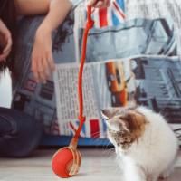 Juguete Interactivo Para Gatos Pelota Automática Con Sensor De Movimiento Cuerda Artificial Juguete Eléctrico Para La Interacción De Gatos Tamaño 7x7cm - details 2