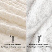 Almeritex Manta Sofa de Borrego, Manta Doble Cara Franela y Sherpa, 100% Poliester, Suave y Caliente para Invierno, 130x160 160x220 220x240 - details 31