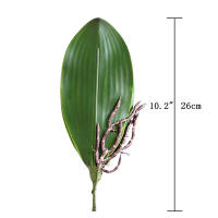 1Pcs Gran Tamaño Artificial Filo De Orquídea Falsa En Latex Toque Real 5 Pétalos Verde Para Jardín De Flores Simulación De Moth - details 2