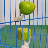 Juguete Práctico Para Pájaros Palas De Acero Inoxidable Soporte Para Frutas Y Alimentos Para Periquitos Y Pericos - details 4