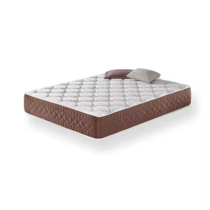 Colchón Viscoelástico Evo - Firmeza Media - Altura: 30 cm - Cinco Capas de Espuma Premium - Moisury - 1