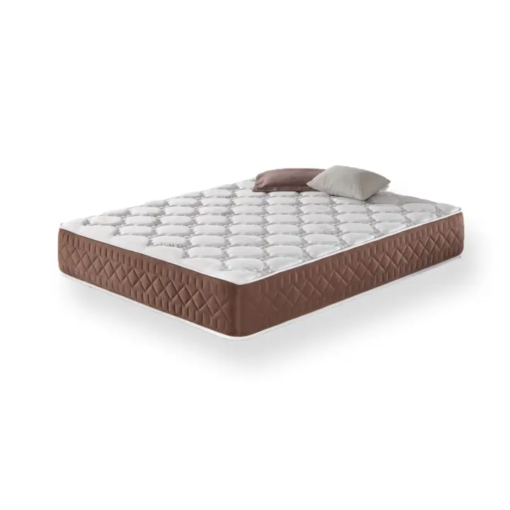 Colchón Viscoelástico Evo - Firmeza Media - Altura: 30 cm - Cinco Capas de Espuma Premium - Moisury - 1