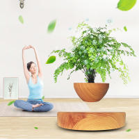 Maceta Flotante Magnética Levitación Para Plantas Sin Tierra Maceta De Rotación Para Decoración Del Hogar Con Diseño De Bonsái - details 16