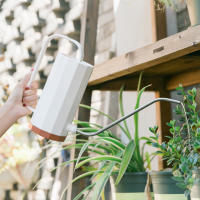 Regadera De Acero Inoxidable 1.2L Con Bocina Larga Para Riego De Plantas Y Flores Jarrón Curvo Herramienta De Jardinería - details 5