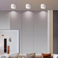 Lámpara De Techo LED Nordic 9W 15W 20W Montada En La Superficie Iluminación Interior Para Sala De Estar Y Dormitorio AC220V Negro Y Blanco - details 12