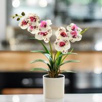 Orquídea Artificial Phalaenopsis En Maceta Planta Verde Para Jardín Oficina Hogar Bodas Y Decoración Interior Estilo Bonsái - details 7