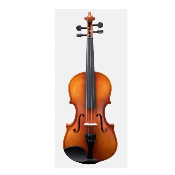 Ek Violín Amadeus VA-101 3/4 para Niños con Arco y Estuche - Tapa de Abeto y Fondo de Arce - 1