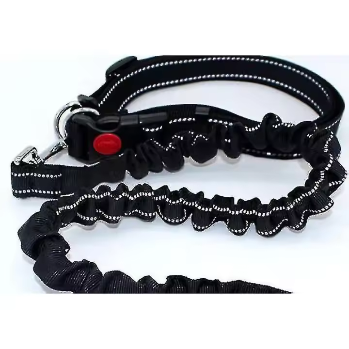 Correa para Perros Elástica de Nylon para Caminar - Negro - 1