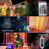 Cadena De Luces LED RGB WS2812B 20m 10m 5m DIY Inteligente IC APP Bluetooth Remote Para Jardín Fiesta Navidad Boda Decoración - details 2