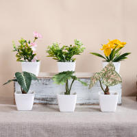 1SET De Plantas Simuladas En Maceta Para Decoración De Oficina Comercial Sala De Estar Estudio Courtyard Decoración Del Hogar Adecuado Para Mesas De Trabajo Y Espacios Comunes - details 16