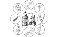 Agua Floral de Camomila Bio  Hidrolato de Manzanilla Spray Facial Orgánico 250 ml -  Tradicity Organic Farm - details 0