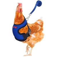Harnés Ajustable Para Perros Pequeños Y Pollos Con Correa Cómodo Transpirable Chaleco Para Entrenamiento De Mascotas Como Pato Ganso Y Pollo - details 7