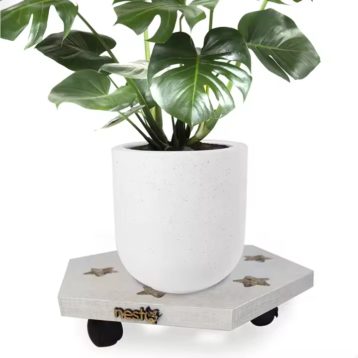 Base para macetas 28,5cm nestQ Carrito de madera Soporte textil móvil, Soporte para Plantas en macetas para Interiores y Exteriores para jardín, Patio,balcón,Sala de Estar, Bandeja para macetas rueda giratoria de 360° - 1
