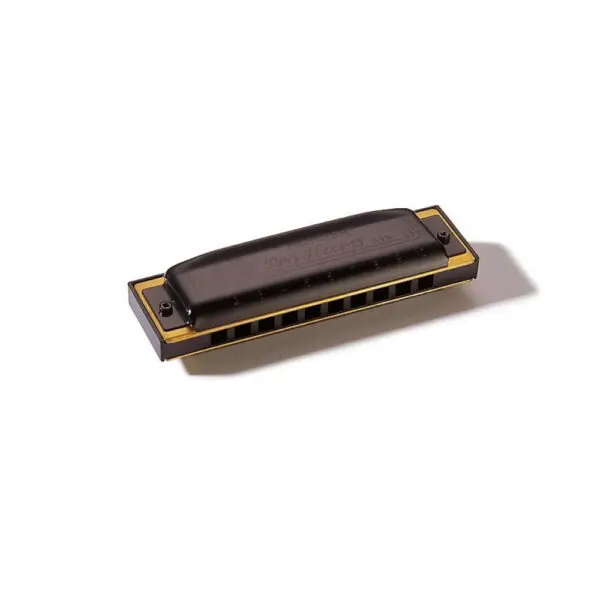 Armónica Hohner Pro Harp 20V 562/20 (B) - 1