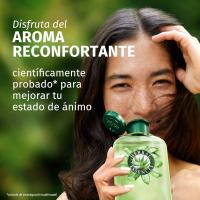 Herbal Essences Champú y mascarilla Fortificante Aloe Para Pelo Muy Seco. Hidrata. Limpieza Profunda. De Origen Natural. Y Aroma A Jazmín. Sin Siliconas. Sin Sulfatos. Vegano Ingredientes De La Fórmula Libre De Tensioactivos Sulfatados 350+500mlml - details 1