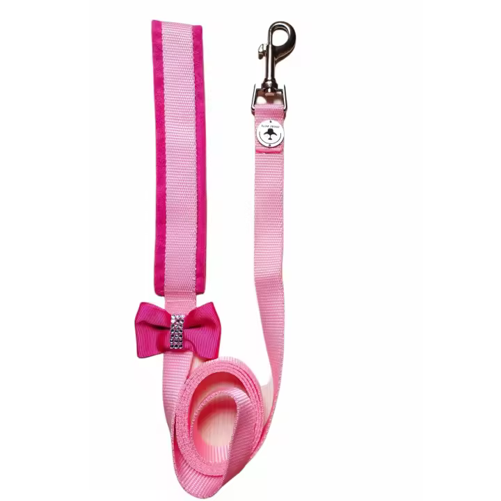 Correa para Perro Pequeño, Amor en Rosa, Nailon, Mango Suave, 1.50 Metros - 1