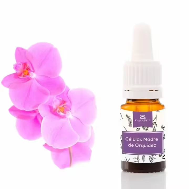 Camassia Células Madre de Orquídea | Principios activos naturales | Células madre 100% vegetal - 1
