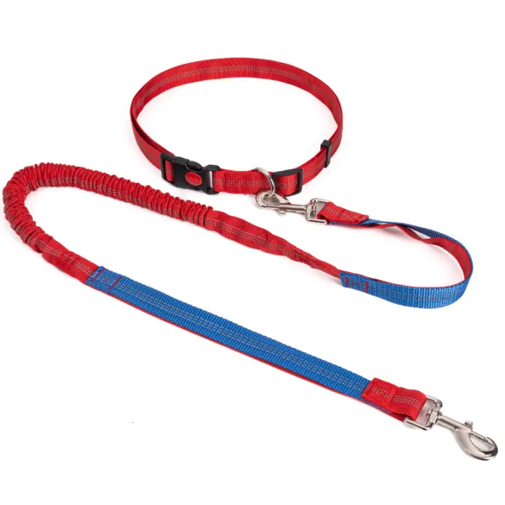 Correa Retráctil Para Perros Con Cuerda De Cintura Ajustable Correa Elástica Para Correr Ciclar Libre De Manos Seguridad Reflejante Para Grandes Perros Suministros Para Mascotas - 1