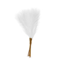 10PCS Pampas De Paja Fluffy 55CM Decoración Bohemia Para Fiesta Y Hogar Plantas Artificiales De Rabo De Sapo Para Boda - details 8