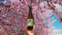 Pablo Claro - Chardonnay - Especial Selección - Ecológico - Biodinámico - Pack de 4 - Vino blanco - 750 ml/botella - details 1