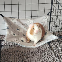 Colchón Colgante Para Hamster Hermoso Y Transpirable De Capa Sola Con Diseño Creativo De Dibujos Animados Amigable Con La Piel Suministros Para Pequeños Animales De Compañía - details 13