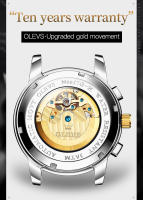 Reloj De Pulsera Automático Para Hombre OLEVS 6617 Lujo Esqueleto Hueco Flywheel Calendario Resistente Al Agua Fase Lunar Acero Inoxidable Romano - details 4