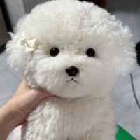 Muñeco De Peluche De Perro Bichon Lindo Simulación De Cabello Curvo Kawaii Muñeco De Peluche Real Para Niñas Y Niños Regalo De Cumpleaños Y Navidad - details 1