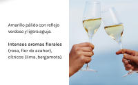 Bach Frizzante - Vino de Aguja - Caja 6 botellas 75cl - details 3